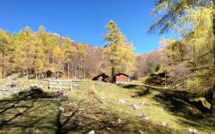 Valsolda